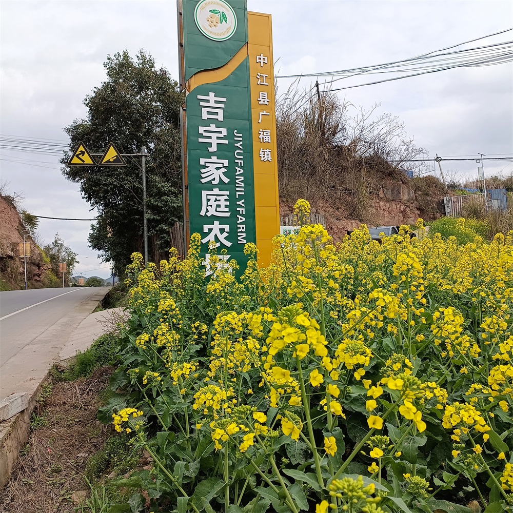基地
