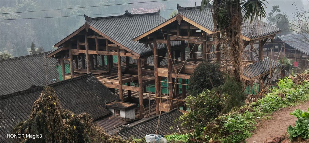 其他案例