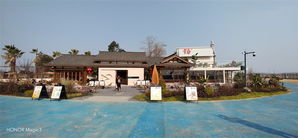 其他案例