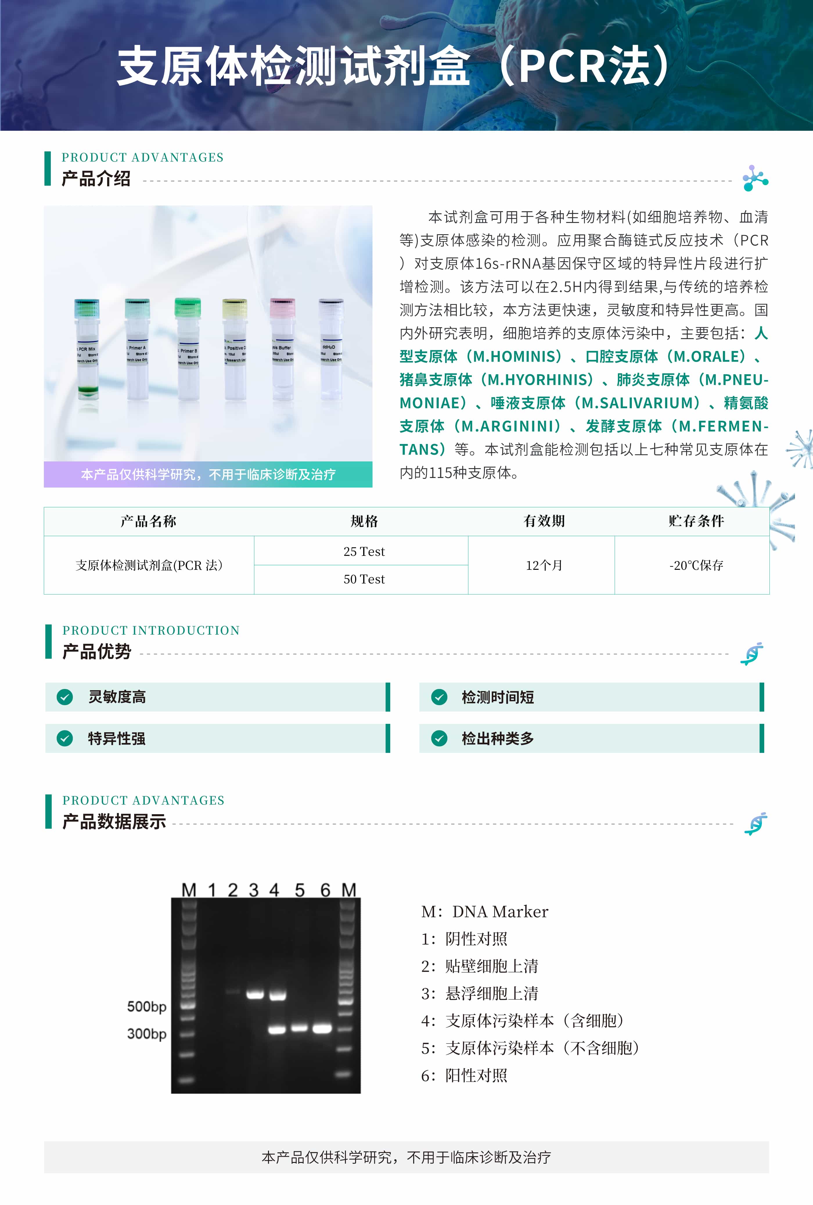 支原体检测试剂盒