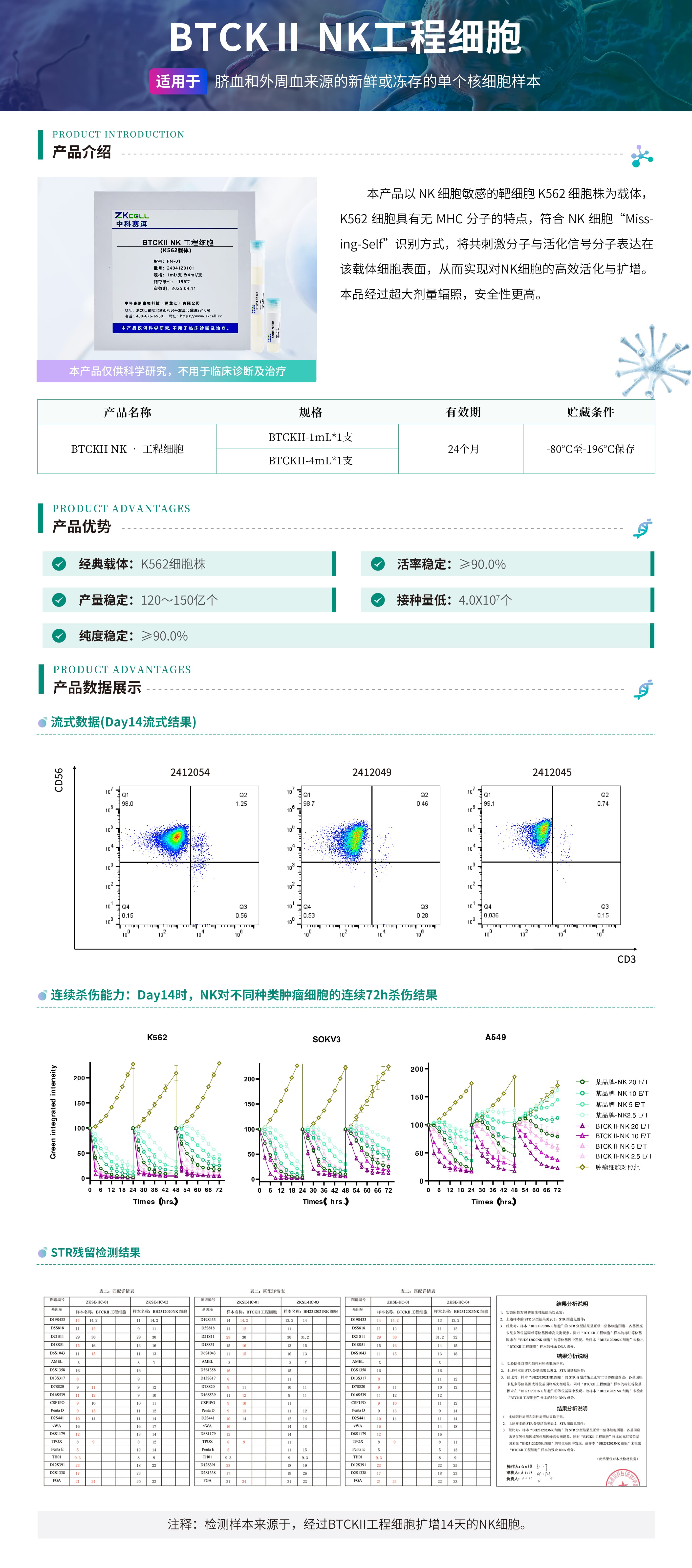 NK细胞试剂盒