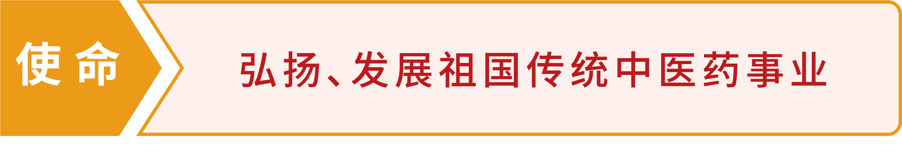 公司文化