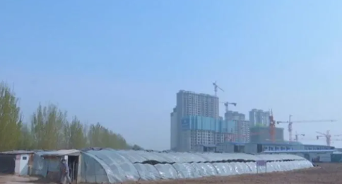 陈庆国：特色农产品种植能人