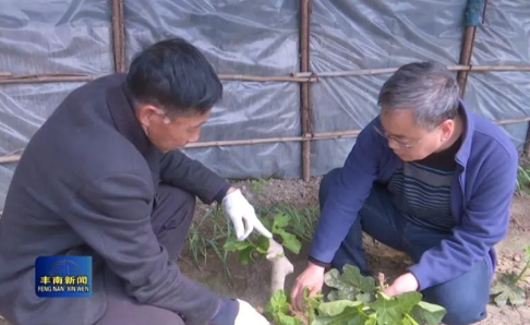 陈庆国：特色农产品种植能人