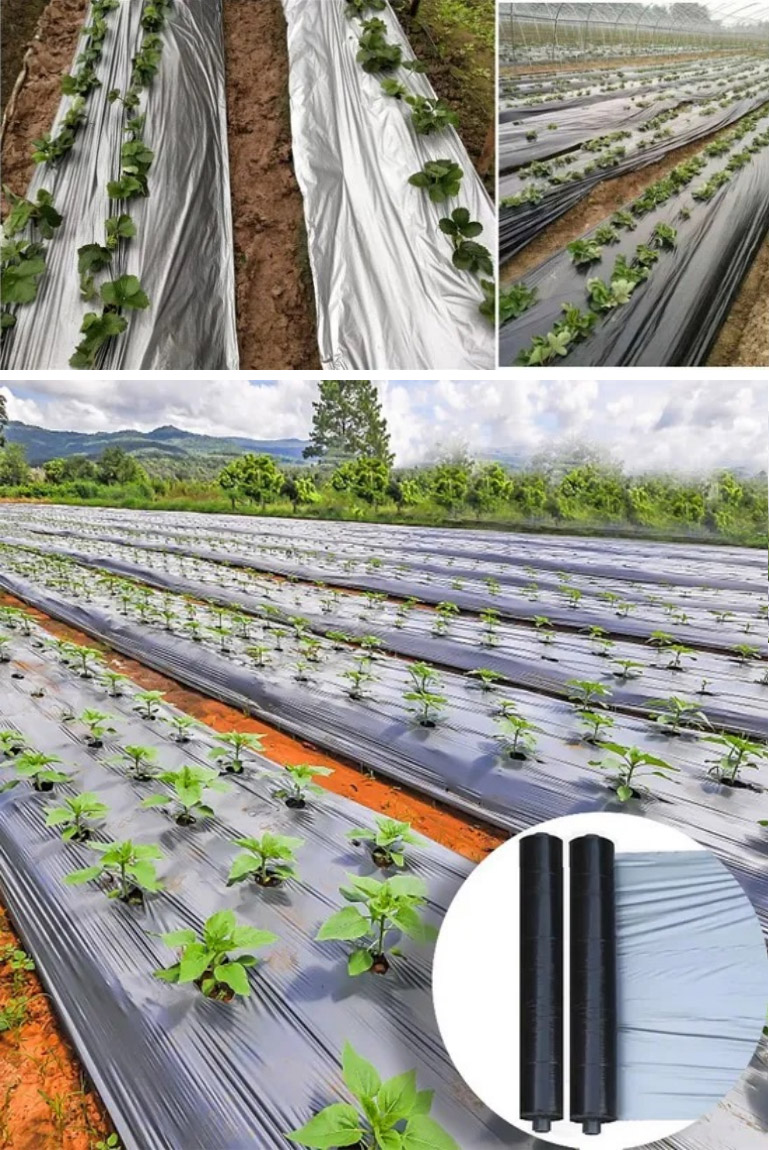 Mulching Film