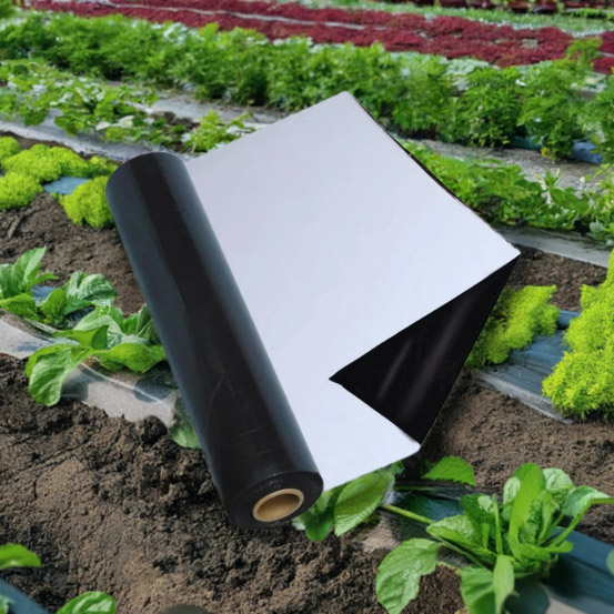 Mulching Film