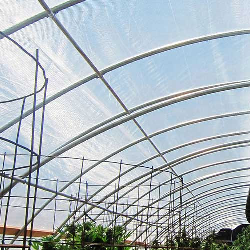 Greenhouse Film