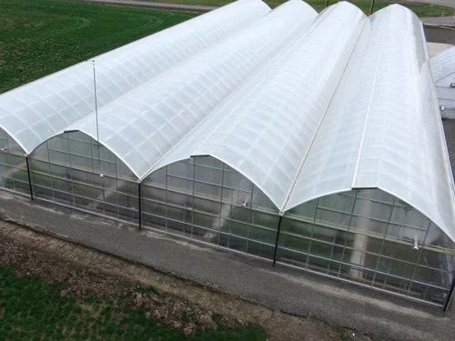 Greenhouse Film