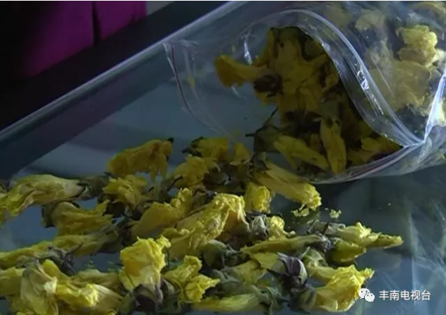 【惠丰湖畔】患癌老汉和金花葵！