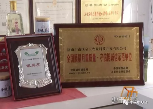 【惠丰湖畔】患癌老汉和金花葵！