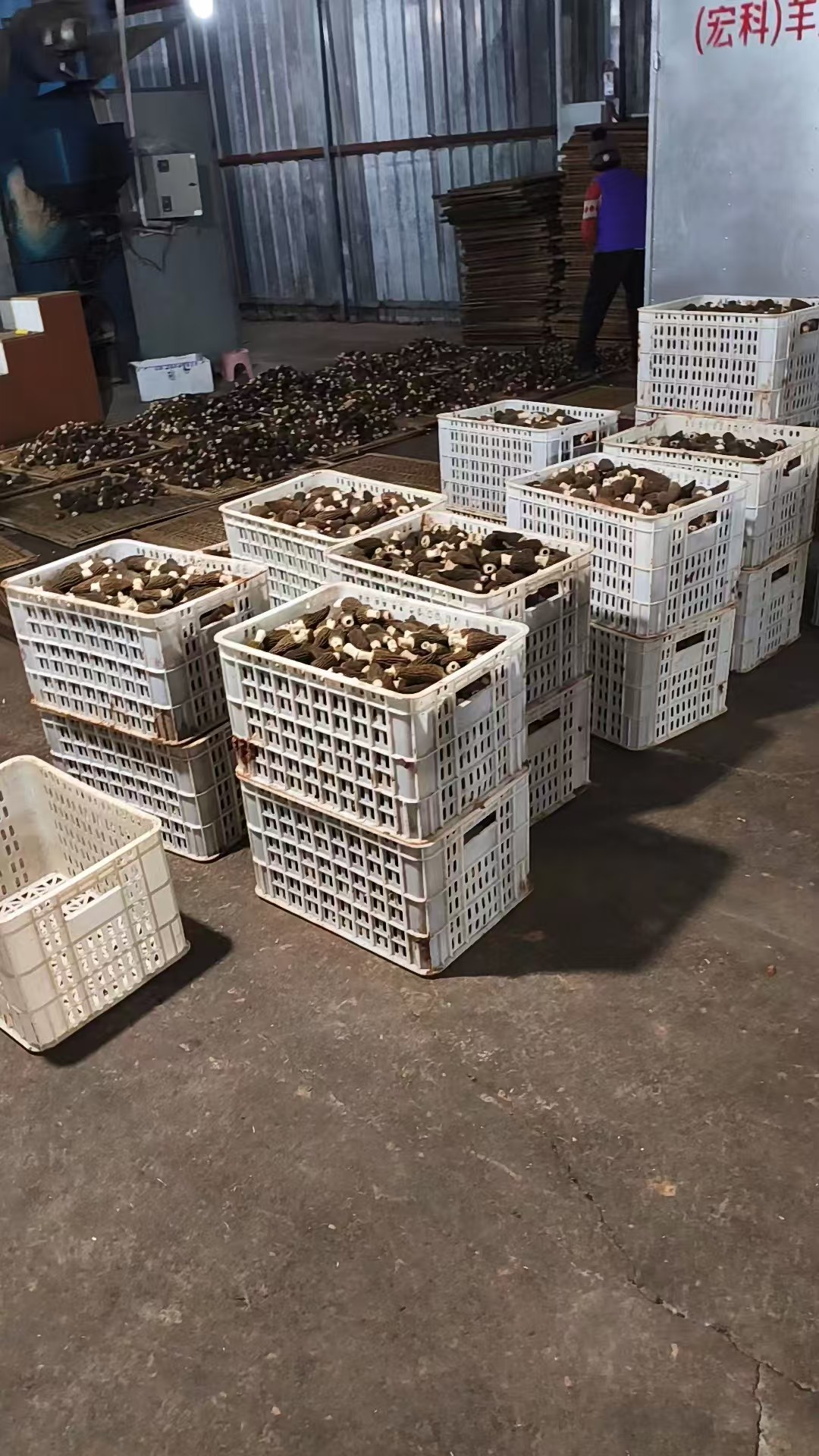 带柄混装(个头)