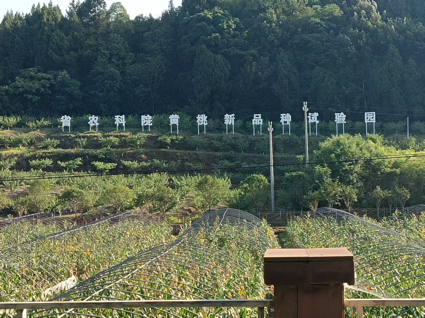 园区照片