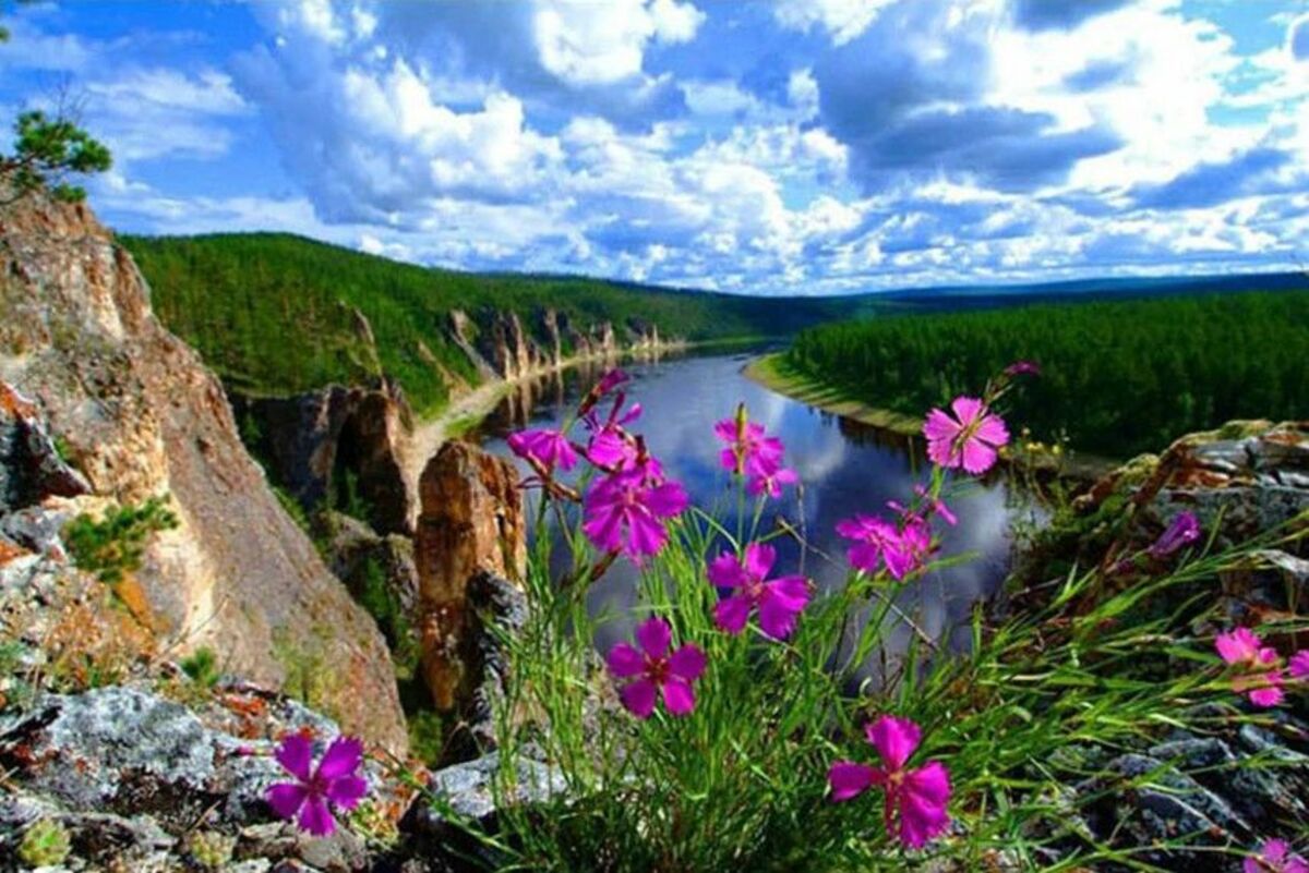 Protecting Natural Resources: Natural Diamonds and the Earth