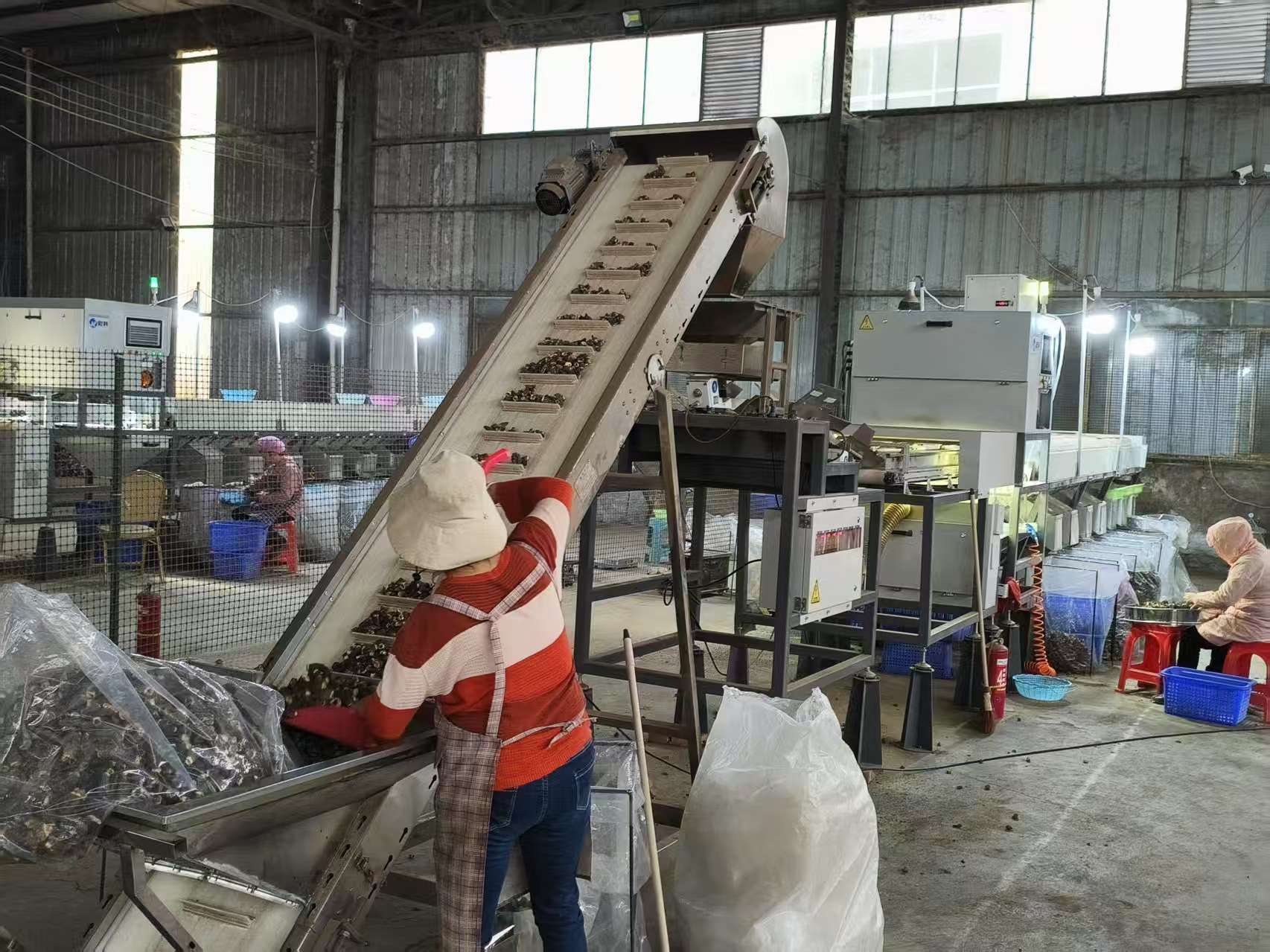 带柄混装(个头)