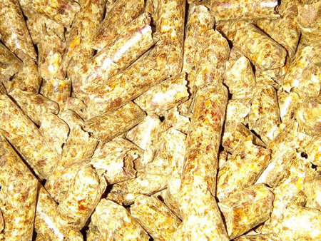 丹东生物质燃料