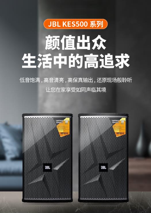 JBL音响 KES508 510 512 515 KTV包房音响 家庭影院客厅 卡拉OK音箱 娱乐酒吧会议舞台演出音箱 KES512音箱