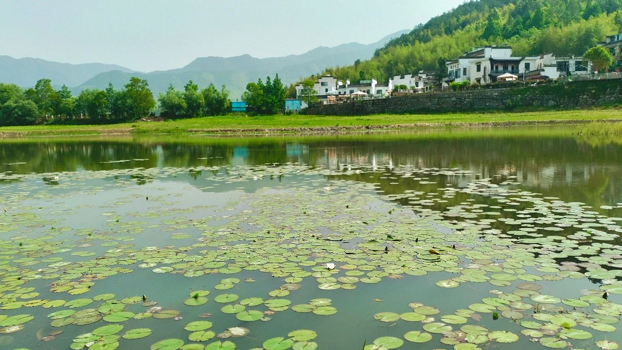 雷克环境中标黄山丰乐水库及周边水体生态环境治理与修复EPCO项目