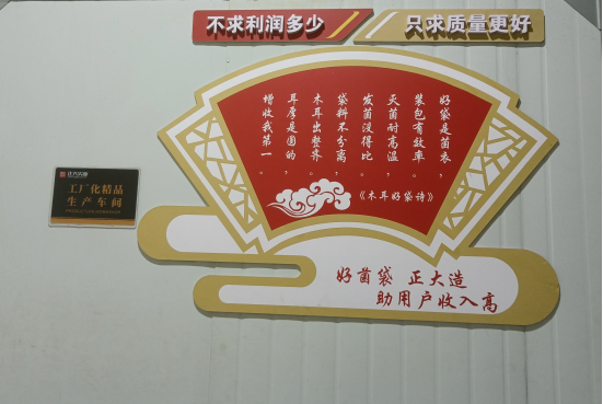 食用菌