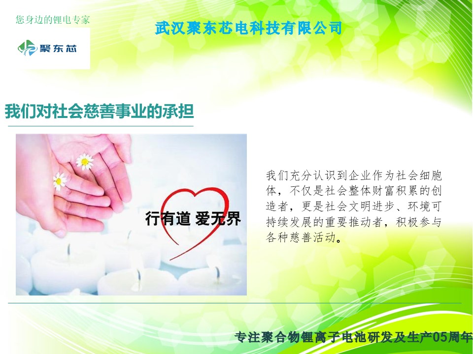武汉聚东芯电科技有限公司简介