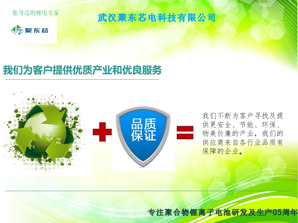 武汉聚东芯电科技有限公司简介