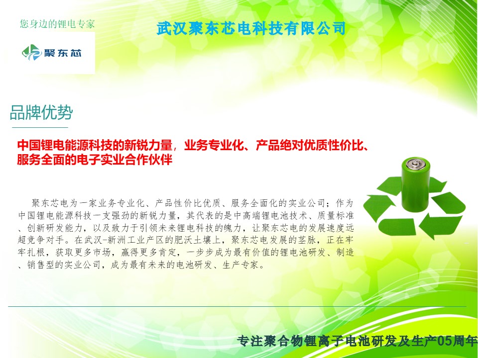 武汉聚东芯电科技有限公司简介