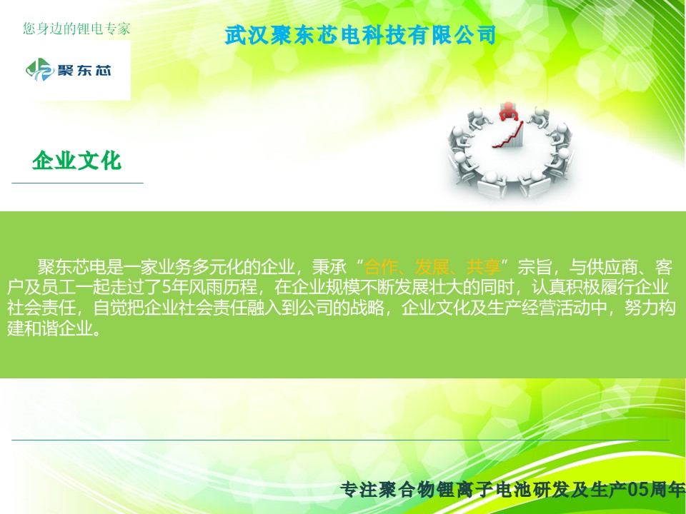 武汉聚东芯电科技有限公司简介