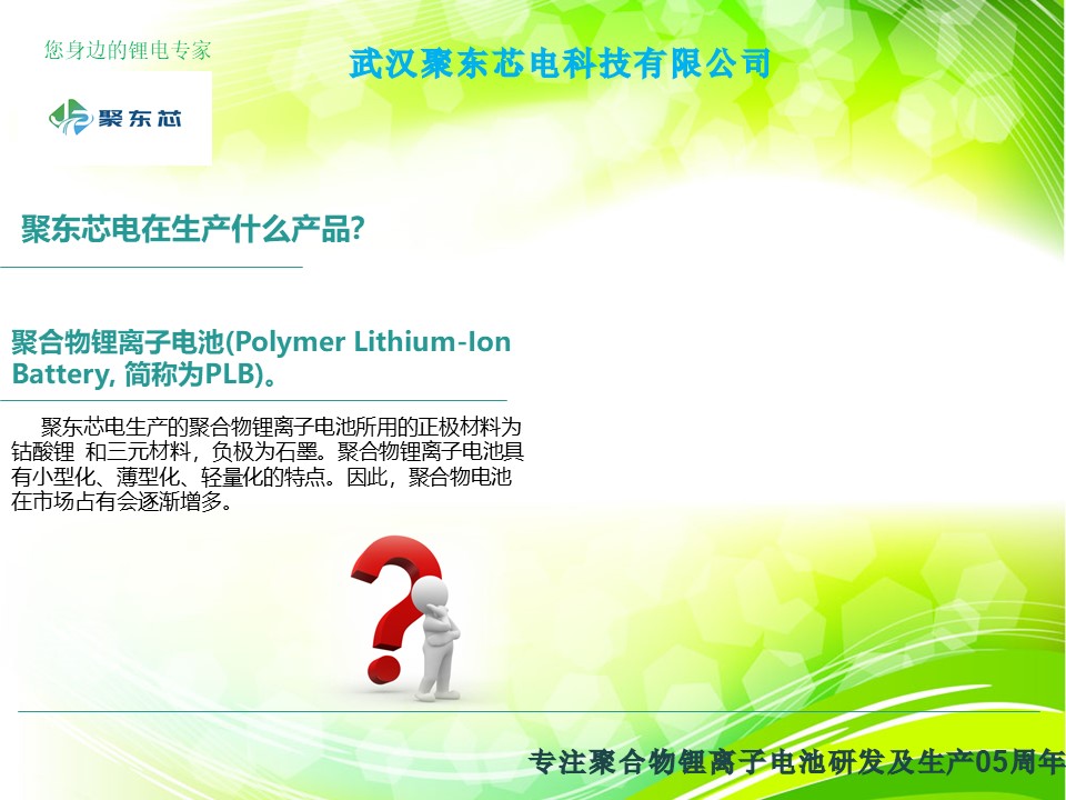 武汉聚东芯电科技有限公司简介