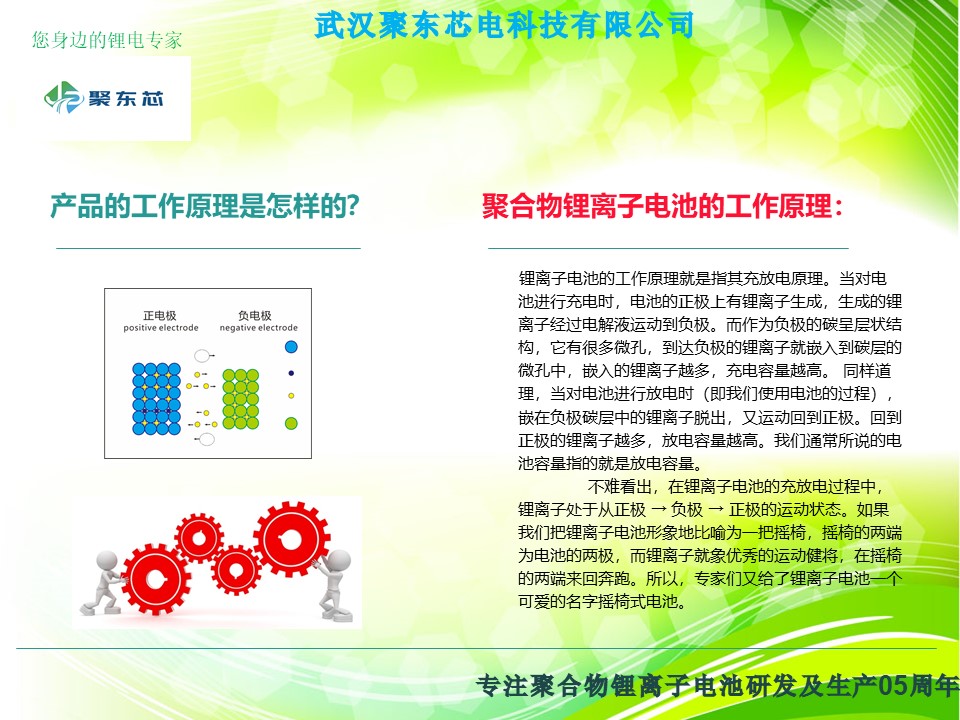 武汉聚东芯电科技有限公司简介