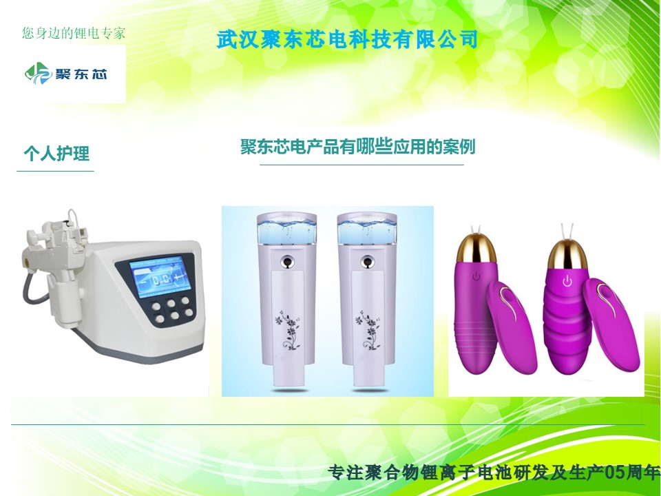 武汉聚东芯电科技有限公司简介