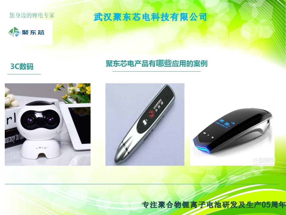 武汉聚东芯电科技有限公司简介