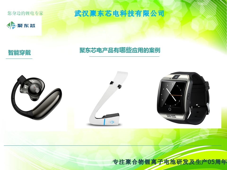武汉聚东芯电科技有限公司简介