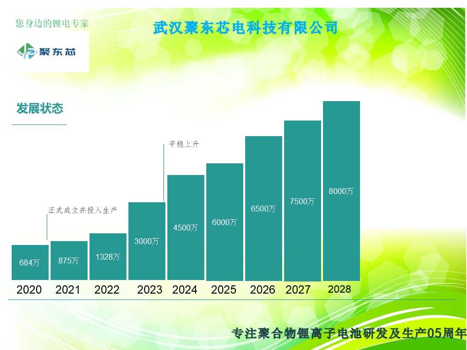 武汉聚东芯电科技有限公司简介