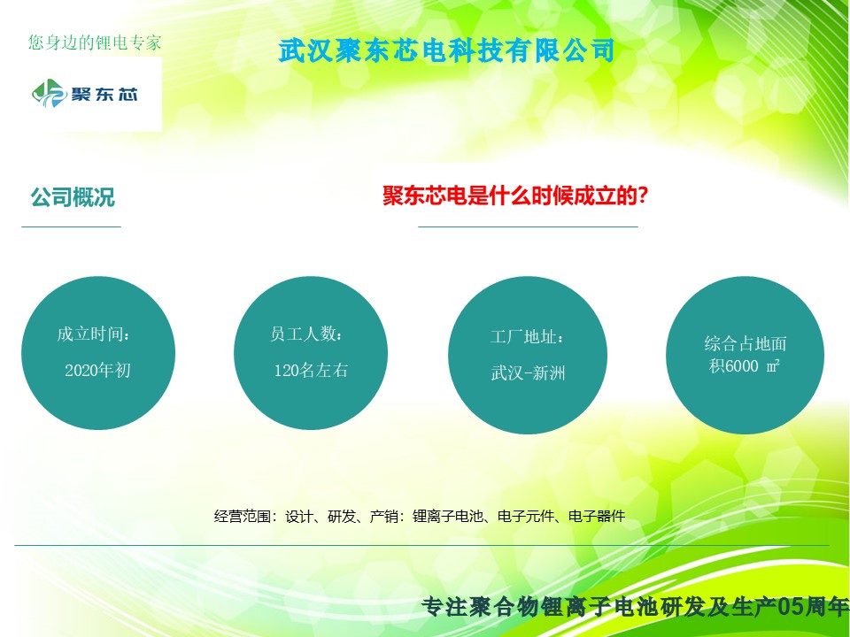武汉聚东芯电科技有限公司简介