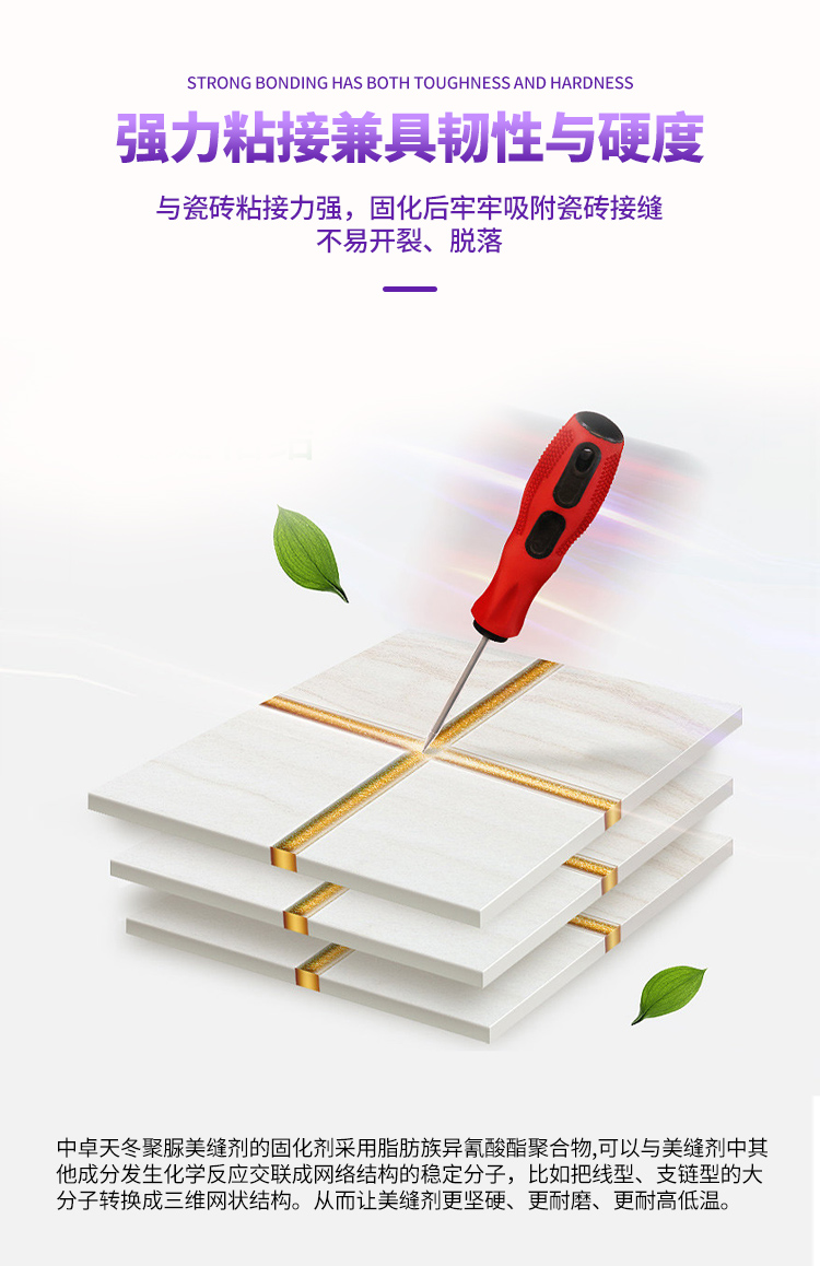 中卓