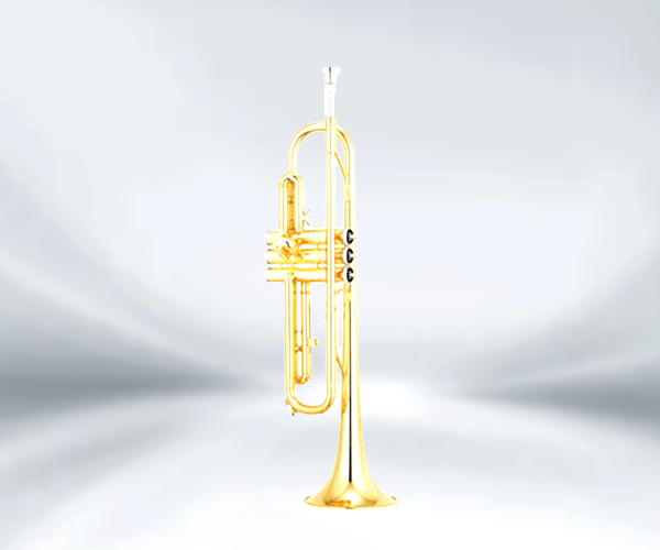 雅馬哈小號YTR-200DT