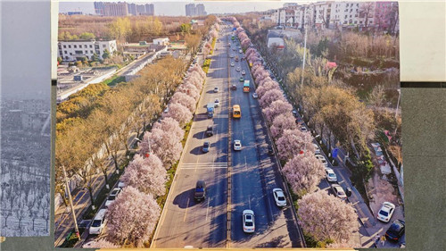 丝路国际传媒网