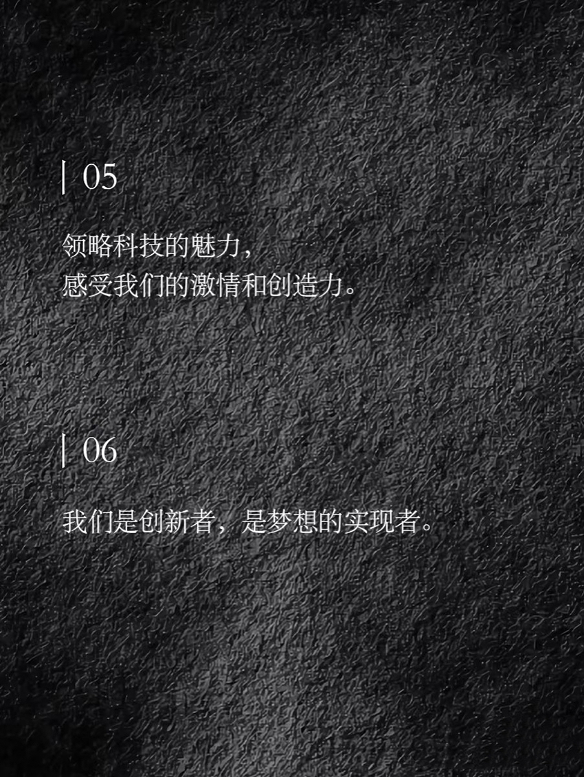 公司文化