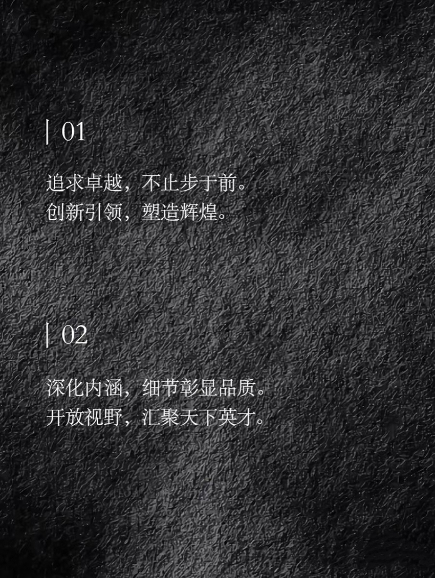 公司文化