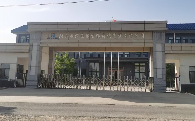 城投物业