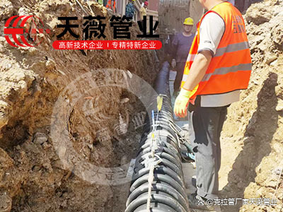 波纹管