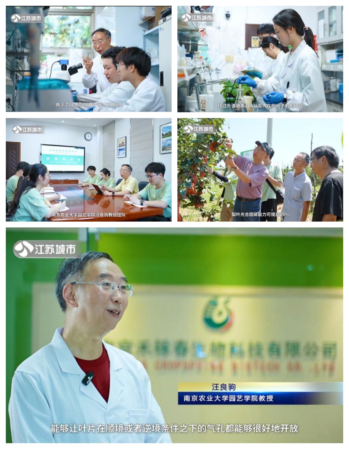 南京禾稼春公司