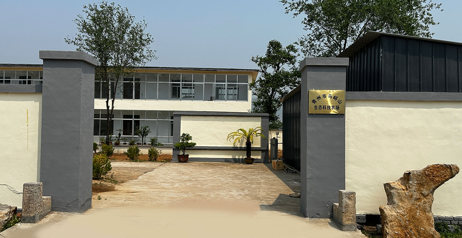 1750126310980848.jpg 0.jpg