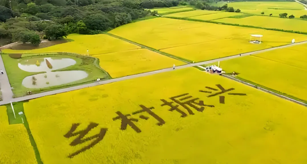 陕西中通智建企业管理咨询有限公司