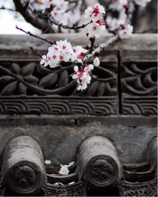陕西文华建筑景观工程有限公司