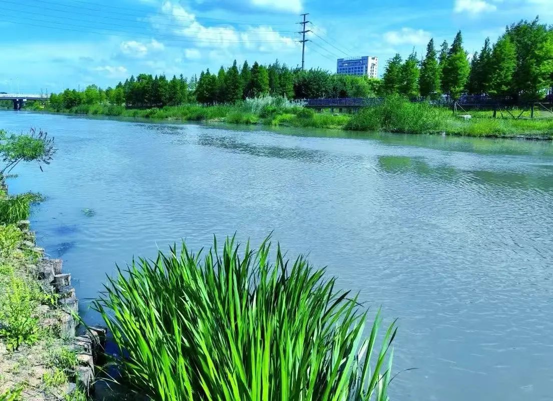 雷克环境中标淮安白马湖（洪金国考断面）综合整治及水域生态修复工程底泥洗脱项目