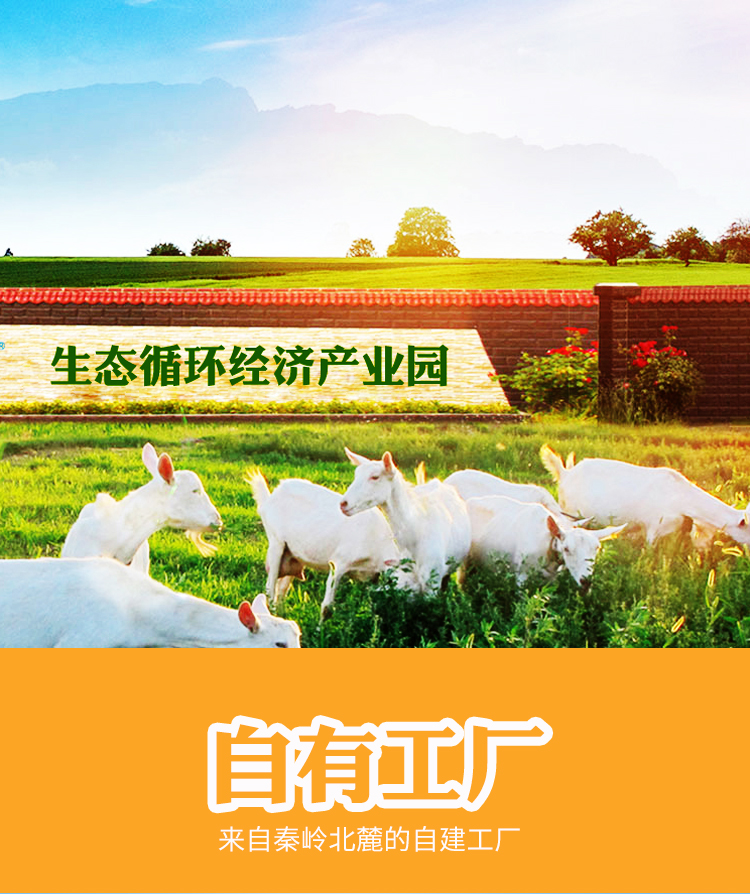 免疫球蛋白配方羊奶粉