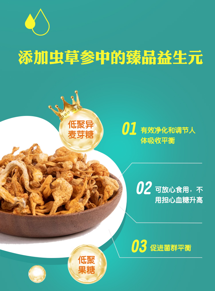发酵型乳酸菌