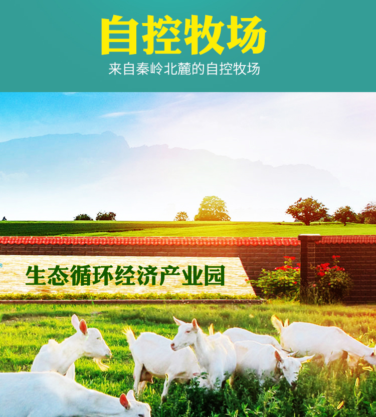 发酵型乳酸菌
