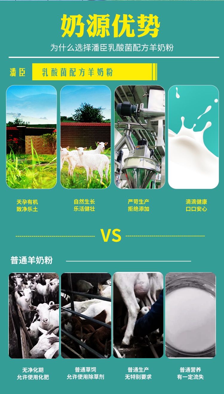 发酵型乳酸菌