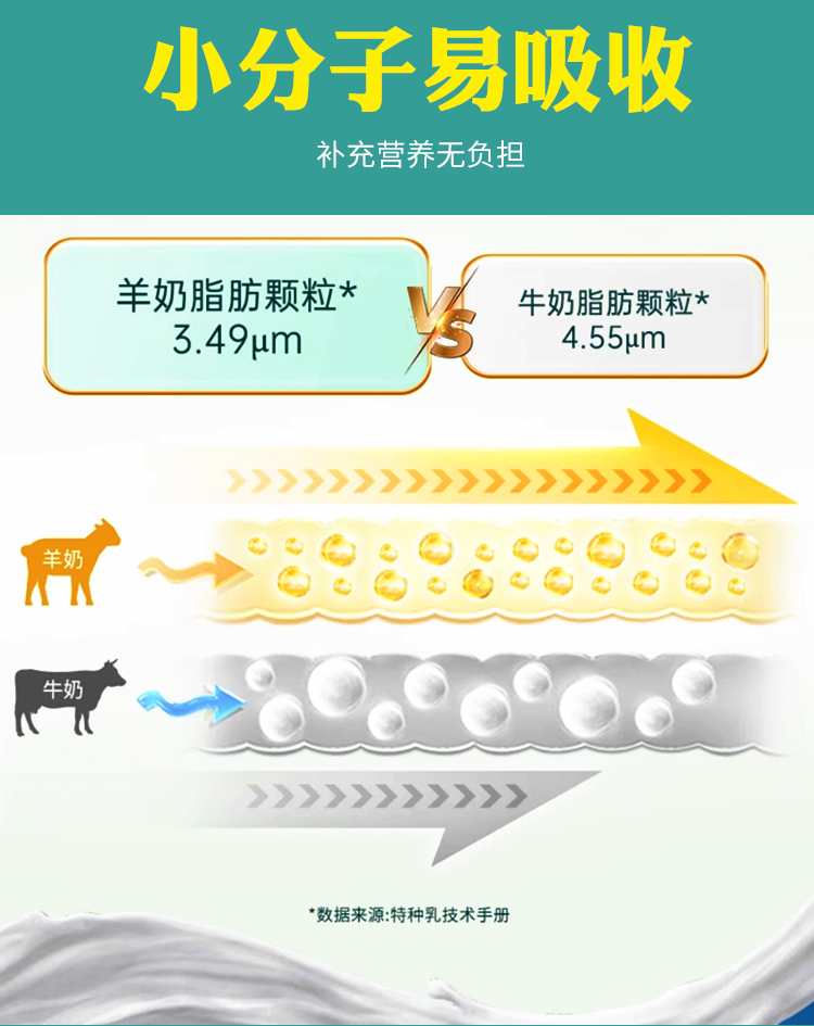 发酵型乳酸菌